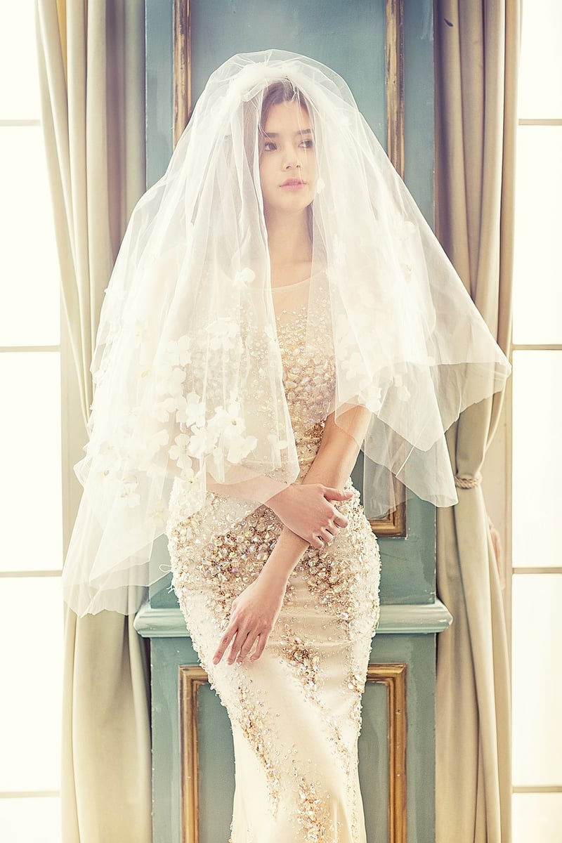Starlit Veil